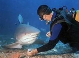  Face to face with a shark!