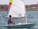 Sailing and catamaran 