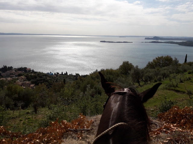 A cheval 