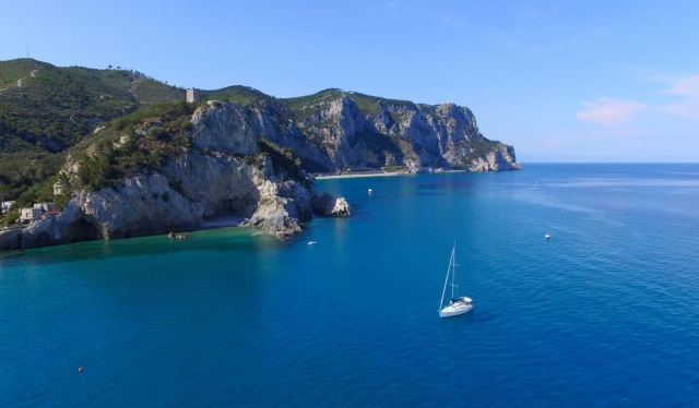  the Saracens bay 