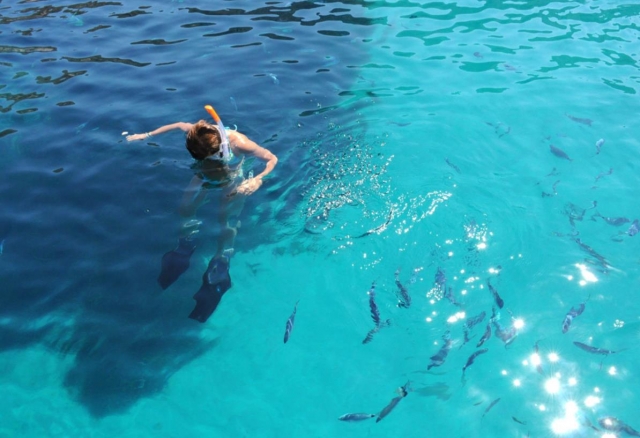  swim break in the Ligurian sea 