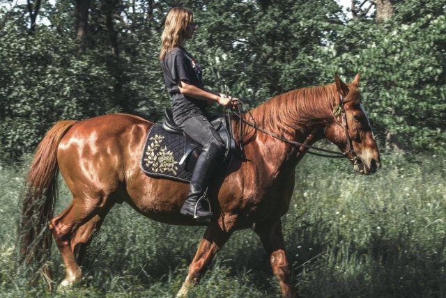  riding the horse 