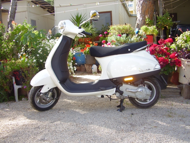  alquiler de scooter 