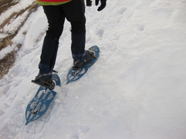  Schneeschuhe 
