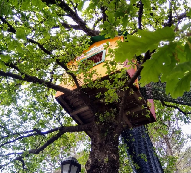casa sull'albero