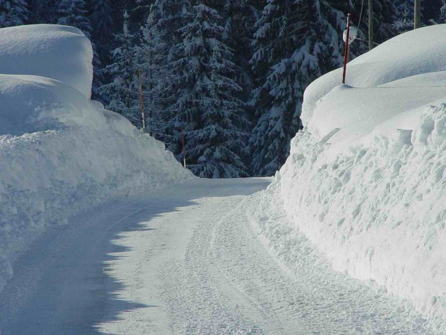  Basic track in Falcade 