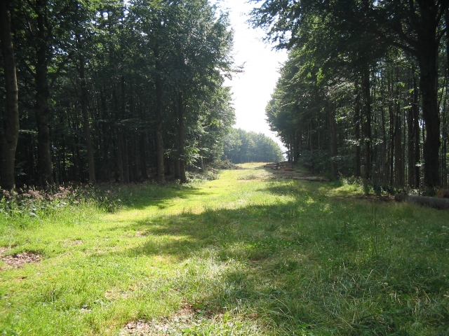  Route 
