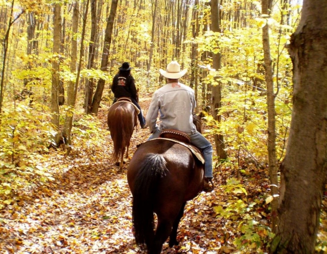  équitation sur le mont Amiata 