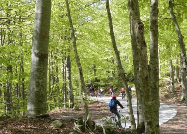  in buici sull'ammiata 