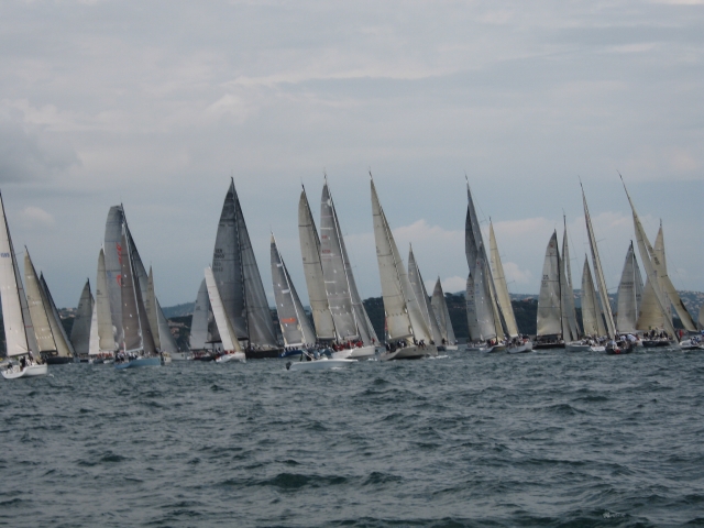 Regatta 