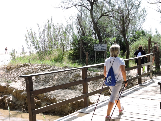  excursion dans le parc 