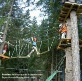 Avventura sugli alberi