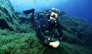 Diving in Elba Portoferraio
