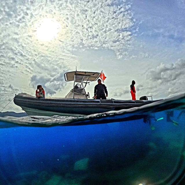  Boats in the waters of Elba 