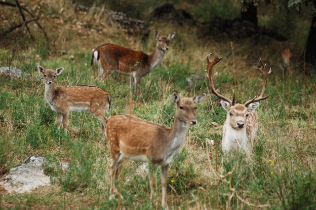 Natura incontaminata