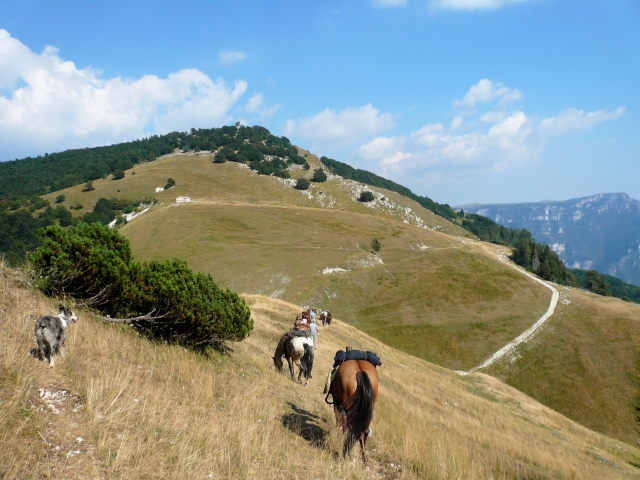 Trekking