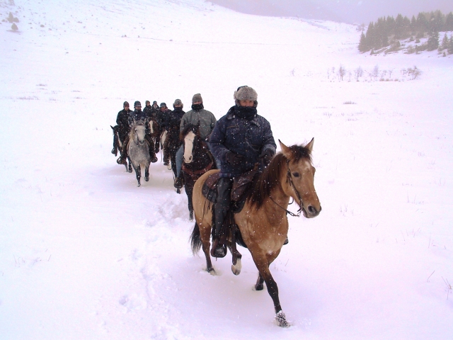 Passeggiata sulla neve