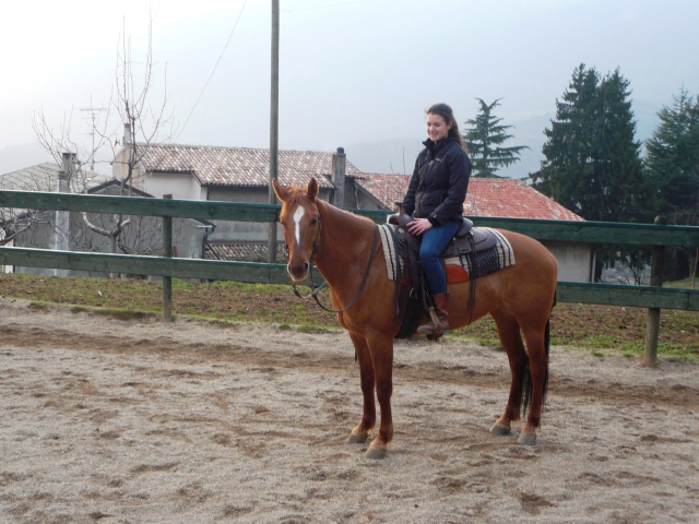 Lezione in maneggio