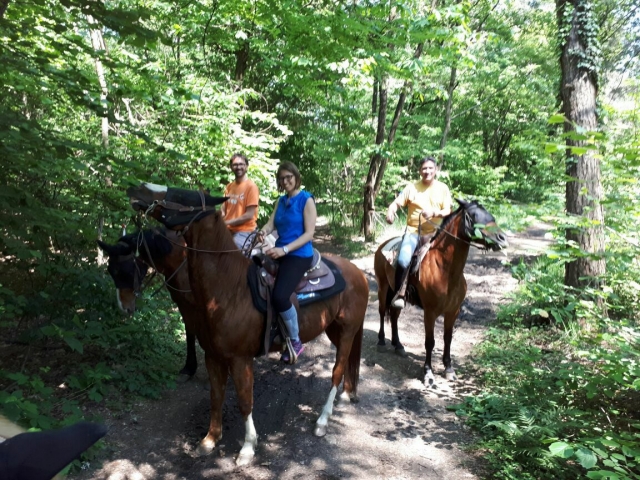  All on horseback 