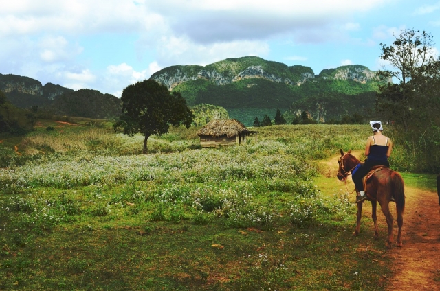  Horse ride 