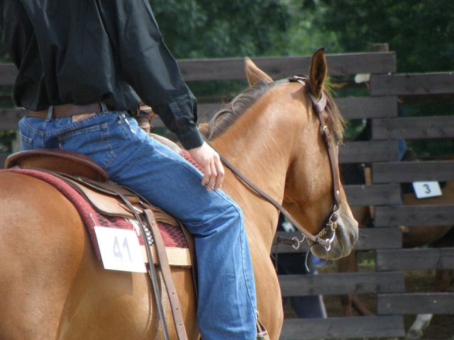  Horse ride 