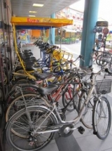  Mountainbike Verleih