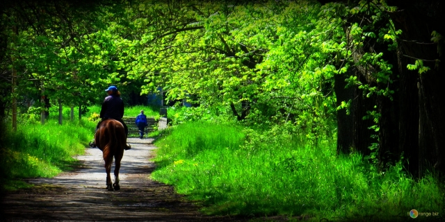 Una passeggiata nella natura