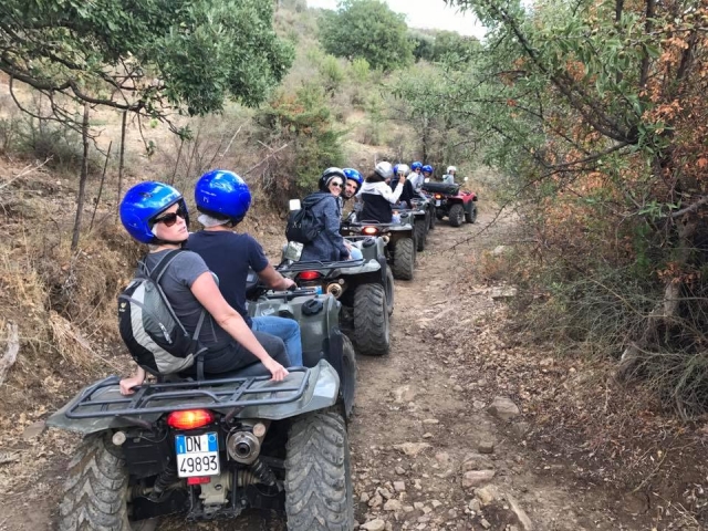  Group excursions 