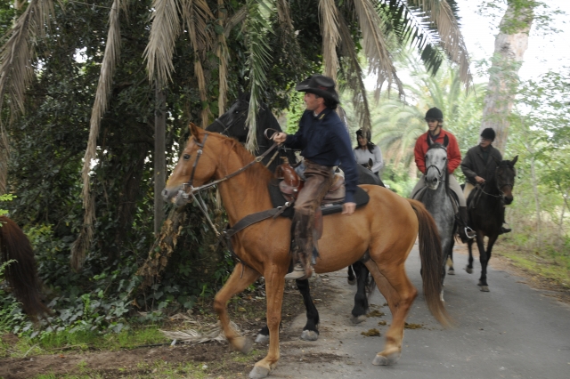  Cavalieri Terre Pontine