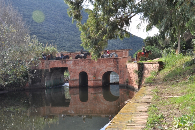  Auf der Brücke 