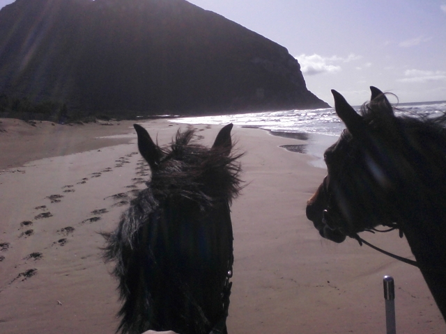  Am Meer 