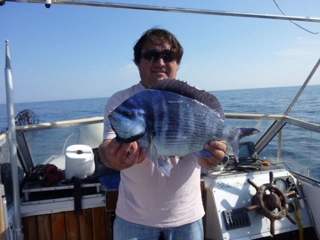 Tanuta em Bolentino 