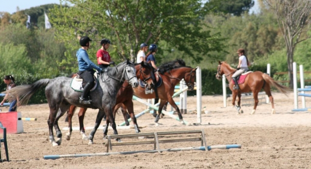  caballos