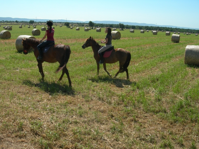  dscn7532.jpg 