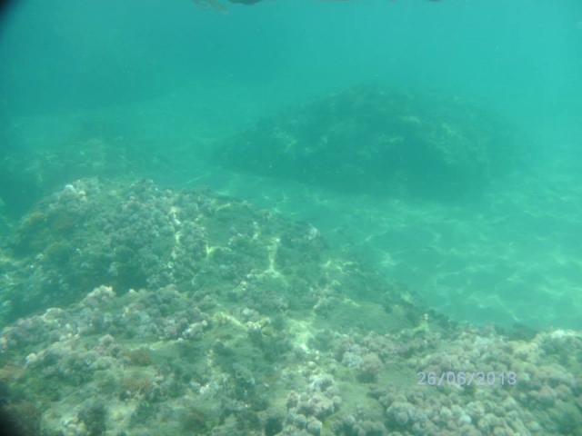 Les profondeurs merveilleuses