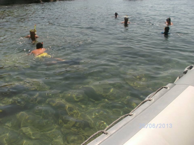 Baignade pendant le voyage