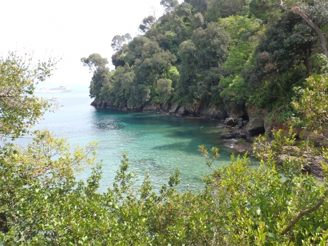  Niasca 