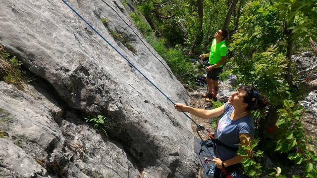 compagnons tout en sécurisant