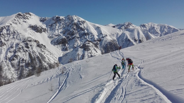  freeride 