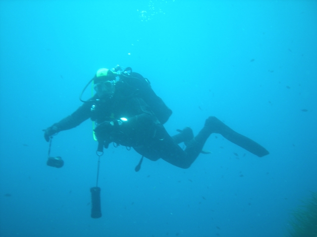 Sommozzatori Rari Nantes