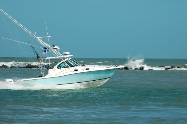 pesca