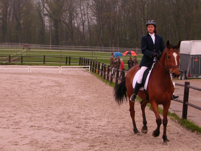 horse riding