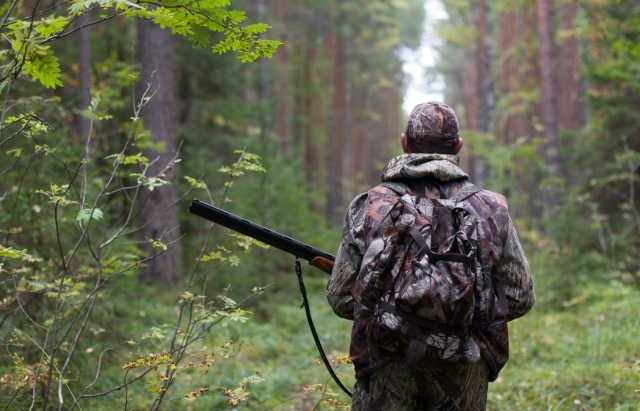  Hunt 