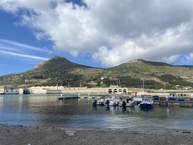  View of the tuna fishery 