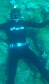  Freediving courses 