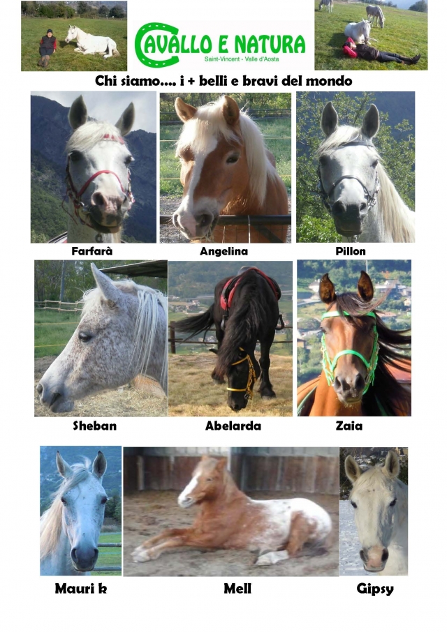 chi-siamo-cavallo-e-natura-a-saint-vincent.jpg