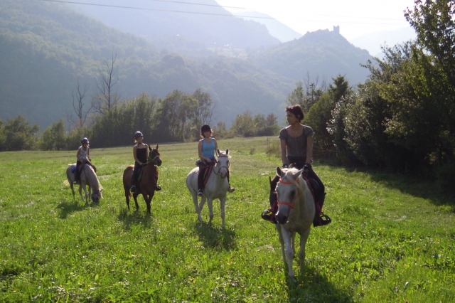dscn1862-cavallo-e-natura-a-saint-vincent.jpg