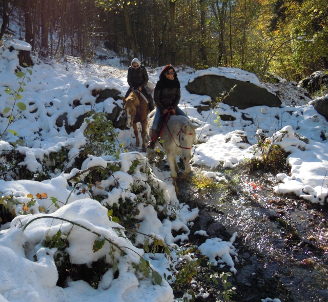 dscn2330-cavallo-e-natura-a-saint-vincent.jpg