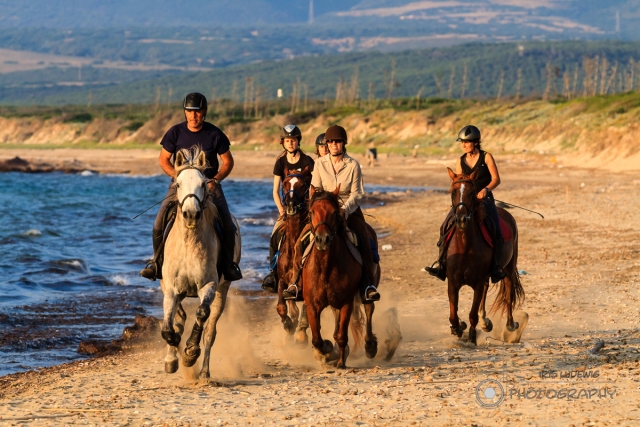 Escursioni in spiaggia