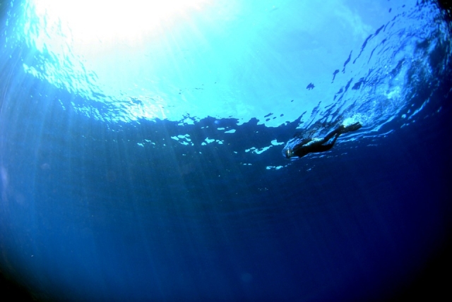  Diving 